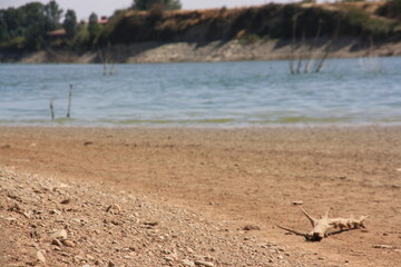 Pantano seco a consecuencia de la sequia