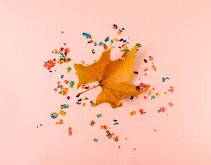 A yellow brown leave fallen on pastel pink background with pencil shavings around. Creative design for beginning of school year advertisement. Concept for fall banner or advertisement. Copy space