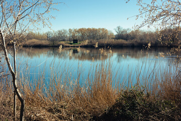 Lago al amanecer