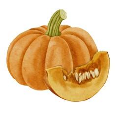 Watercolor pumpkin illustration Autumn Thanksgiving Halloween Holiday 