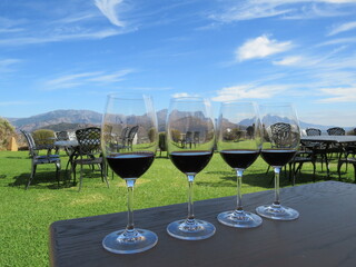 wine tasting, Winery, Franschhoek, Western Cape, South Africa