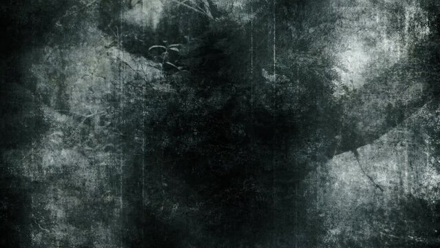 Grunge pale blue white and black twenty second looping background or texture loop