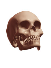 Obraz premium human skull isolated on white