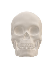 human skull isolated on white