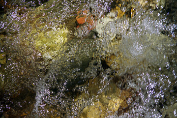 Wild clear and clean creek water flowing and bubbling over rocks
