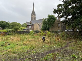 Looking across a field, with a horse, Victorian cottages, and a church spire, on a rainy day in, Bradford, Yorkshire, UK