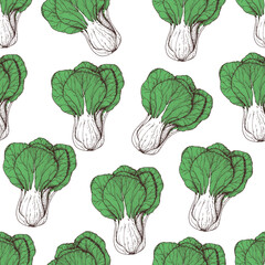 Bok choy seamless pattern. Hand drawn background. Vector illustration. Color illustration. Bok choy vegetable hand drawn backdrop.