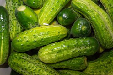 Cucumbers in brine