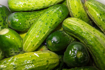 Salted cucumbers