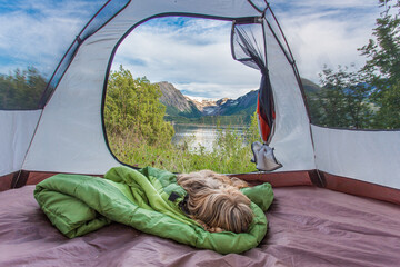 dog lying on sleeping bag in tent with mountain and sea view in Norway