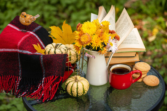 Autumn composition in autumn garden. Warm woolen red blanket, pumpkin, coffee cup, cookies, books, decorations, autumn leaves on table. Fall background