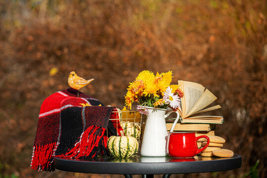 Autumn composition in autumnal garden. Warm woolen red blanket, pumpkin, coffee, cookies, books, decorations, autumn leaves on table. Autumn background, copy space