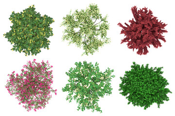 Fototapeta premium Pack of PNG vegetation. Flowering bushes. Made from 3D model for compositing