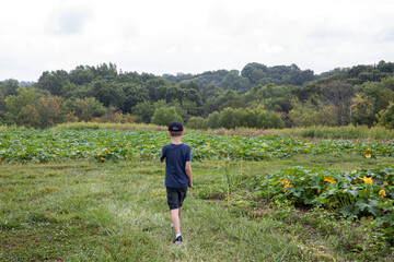 person walking in the field