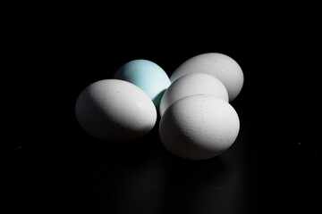 cinco huevos blancos de gallina, sobre fondo negro 