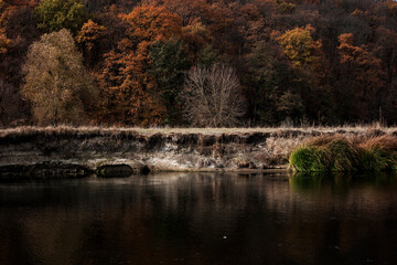 Black water colorful trees landscape