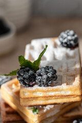 Belgium waffles close up with blackberry and powdered sugar. Morning breakfast concept