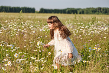 Fototapeta na wymiar Little smiling girl in a white dress on a chamomile field on a bright sunny summer day