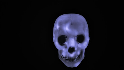 White skull on black background