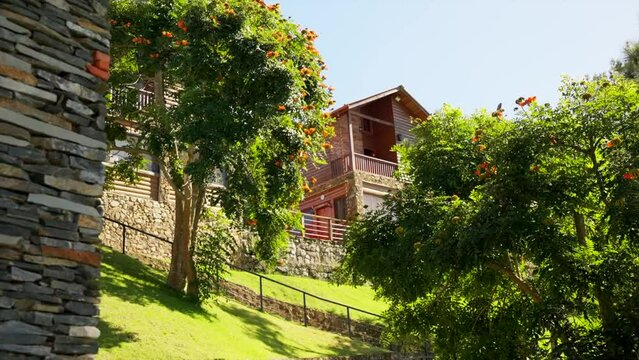 Exterior view of a small mountain hotel territory. Cute wooden cottage between green trees on the hill. Jarabacoa, Dominican Republic