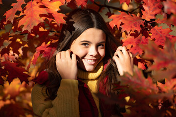 Naklejka na ściany i meble smiling teen girl standing at beautiful autumn leaves
