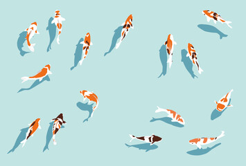 色々な錦鯉のイラスト