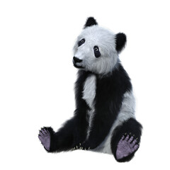 3D rendering of a giant panda cub sitting and facing left isolated.