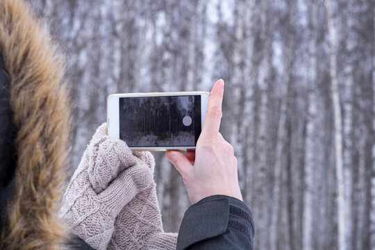 Cropped image of woman photographing trees through smart phone during winter