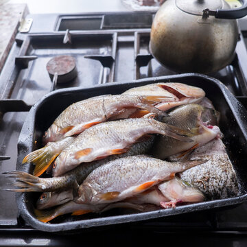 High angle view of fishes in tray on stove