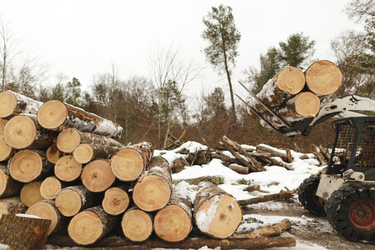 Worker in forklift carrying timber at forest