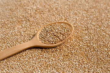 Organic Quinoa on white background