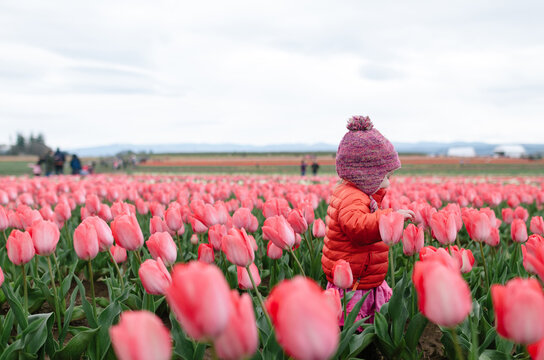 Side view of girl walking amidst tulips blooming in farm against sky