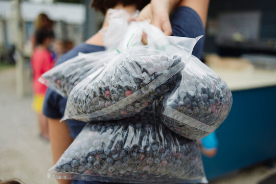 Rear view of woman carrying blueberries in plastic bags at market