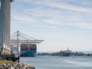 Container ships on sea against sky at commercial dock