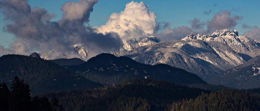 Panoramic view of birds flying against mountains and cloudy sky