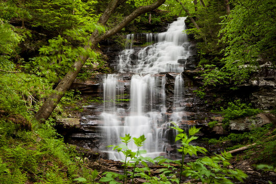 Majestic view of waterfall amidst forest at Redwood National and State Parks