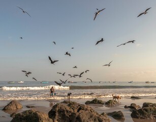 Gaviotas comiendo en la orilla