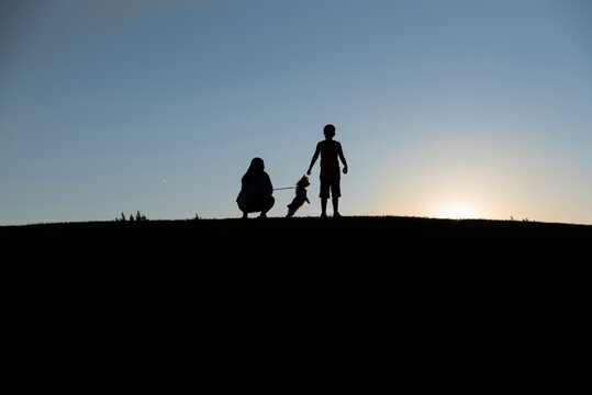Silhouette siblings playing with dog on land against clear sky during sunset