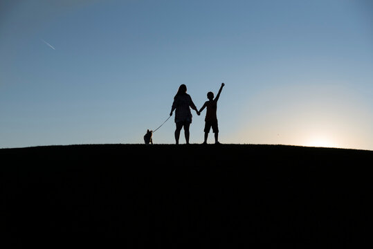 Silhouette siblings with dog standing on land against clear sky during sunset