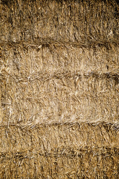 Close-up of hay bale at farm