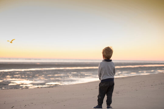 Rear view of boy standing at beach against sky during sunset