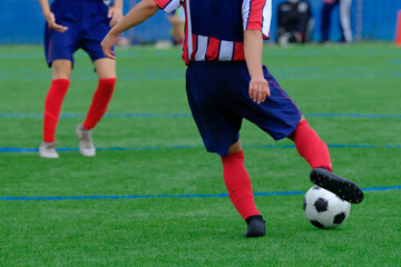 Fototapeta premium サッカー