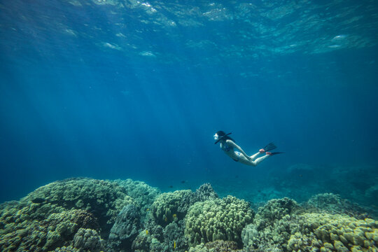 Full length of woman snorkeling in sea