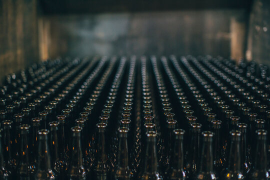 Beer bottles in row at brewery