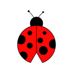 Fototapeta premium ladybug on white background