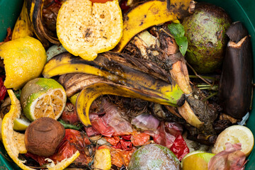 Organic waste food leftovers - Fruit and vegetable peelings