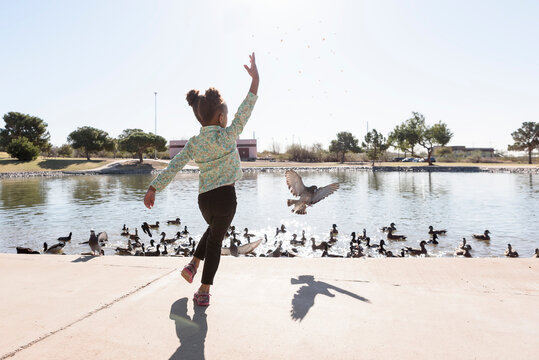Full length of playful girl feeding birds in lake during sunny day at park