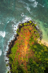 Aerial view of Island beach with coconut tree
