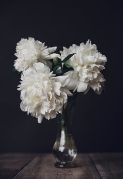 Close-up of white flowers in vase on wooden table against black background