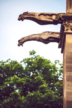 Low angle view of Gargoyles on Notre Dame Cathedral against sky
